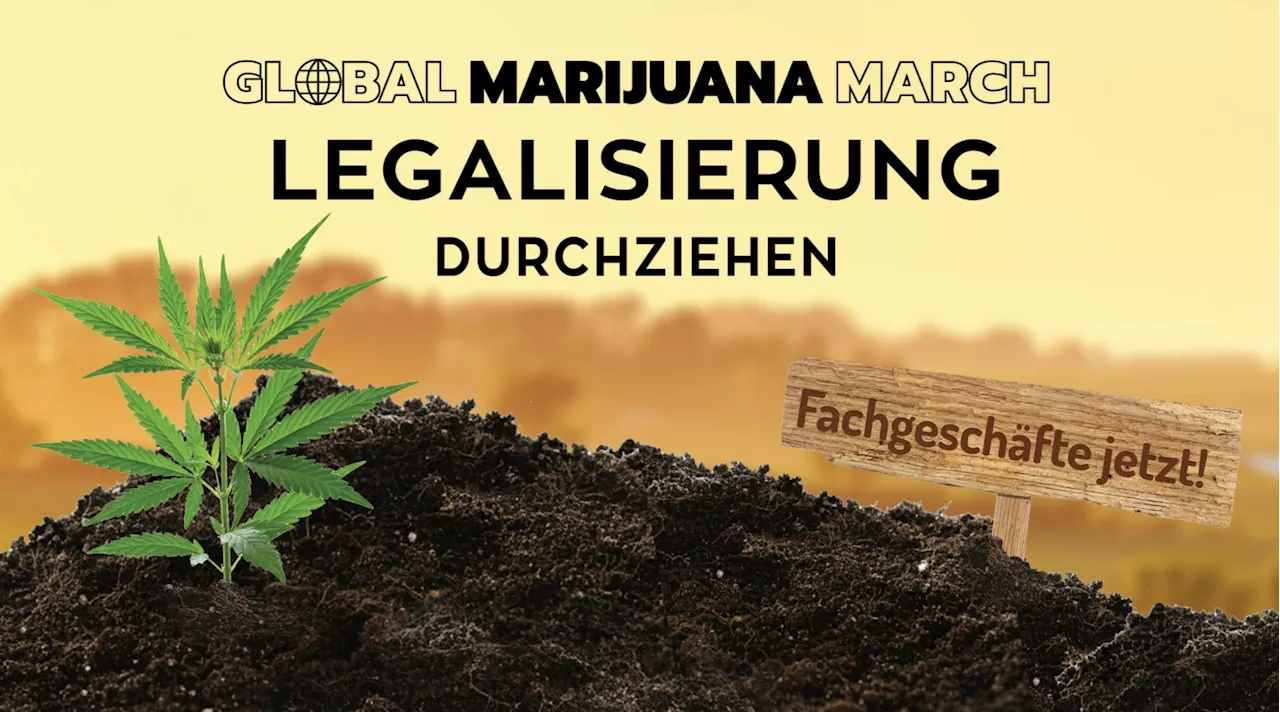 Global Marijuana March 2025: Tausende fordern echte Legalisierung