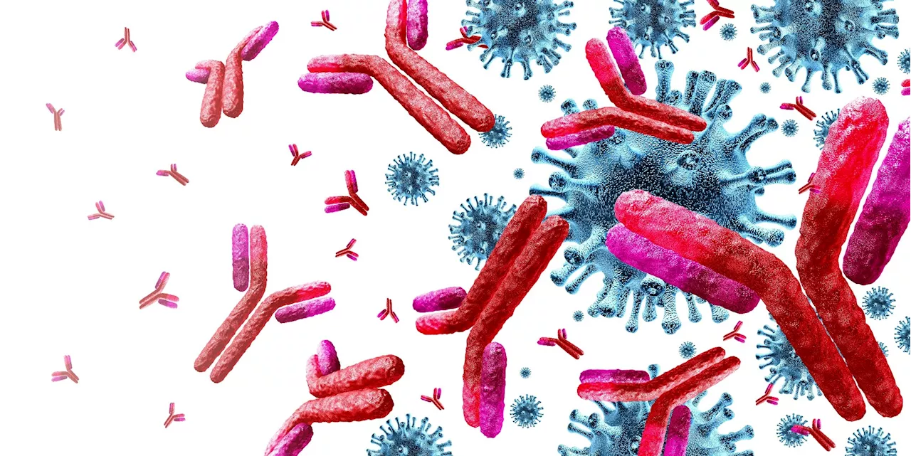 Scientists use AI to build mutation-proof antibodies for SARS-CoV-2