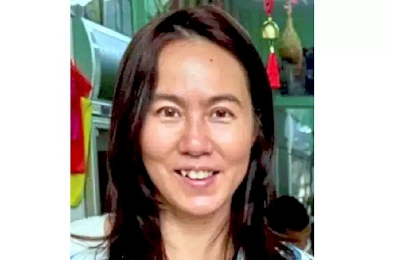 Fake car number plates used in Pamela's alleged abduction, says Bukit Aman