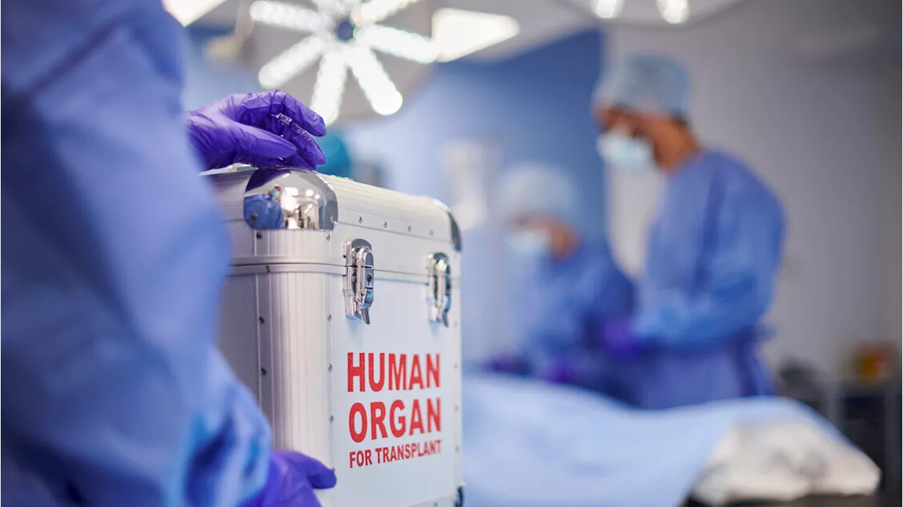 Non c'è età per donare, quasi un organo su 6 da over-80