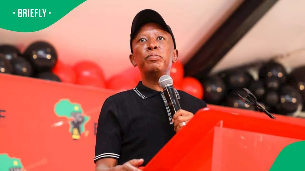EFF President Julius Malema Slams British High Commission for Denying Him a Visa