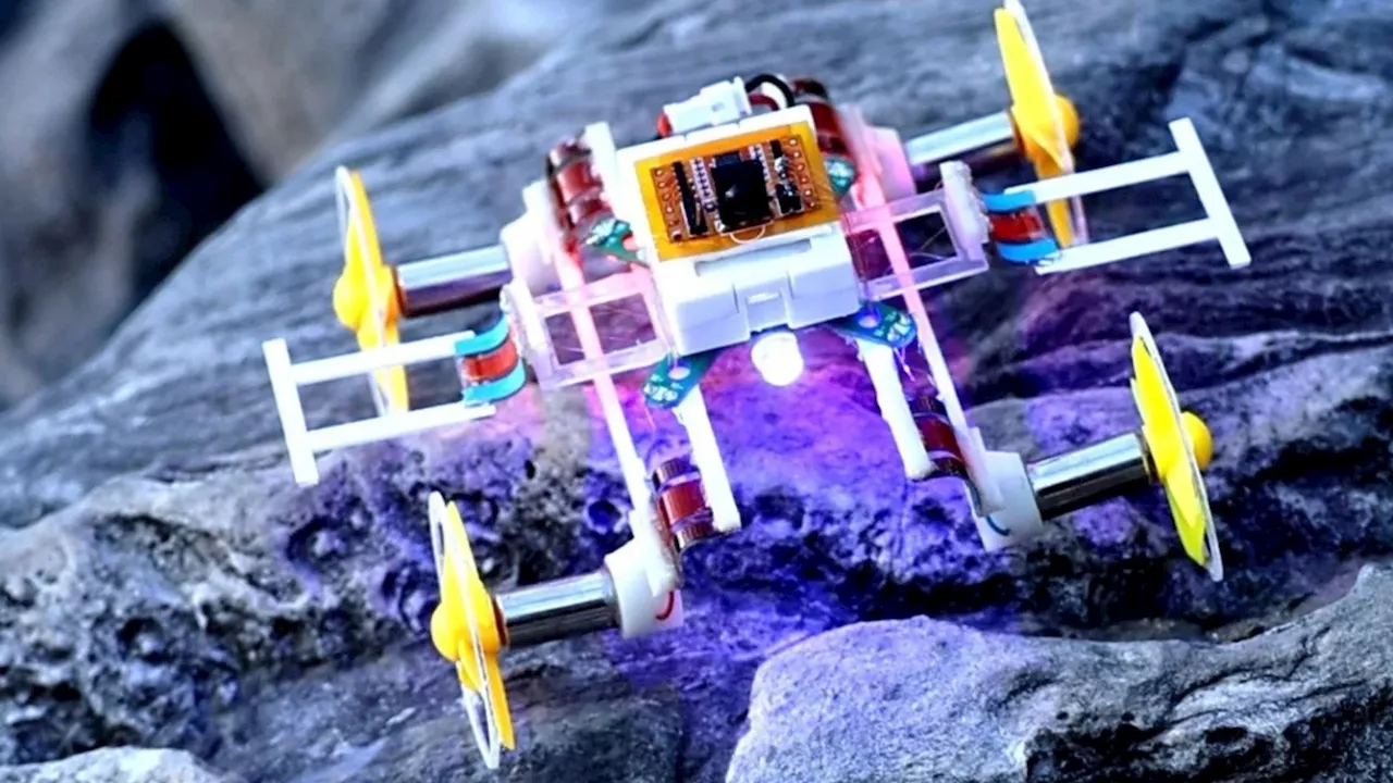 World’s smallest morphing robot takes on land, air for future rescue missions