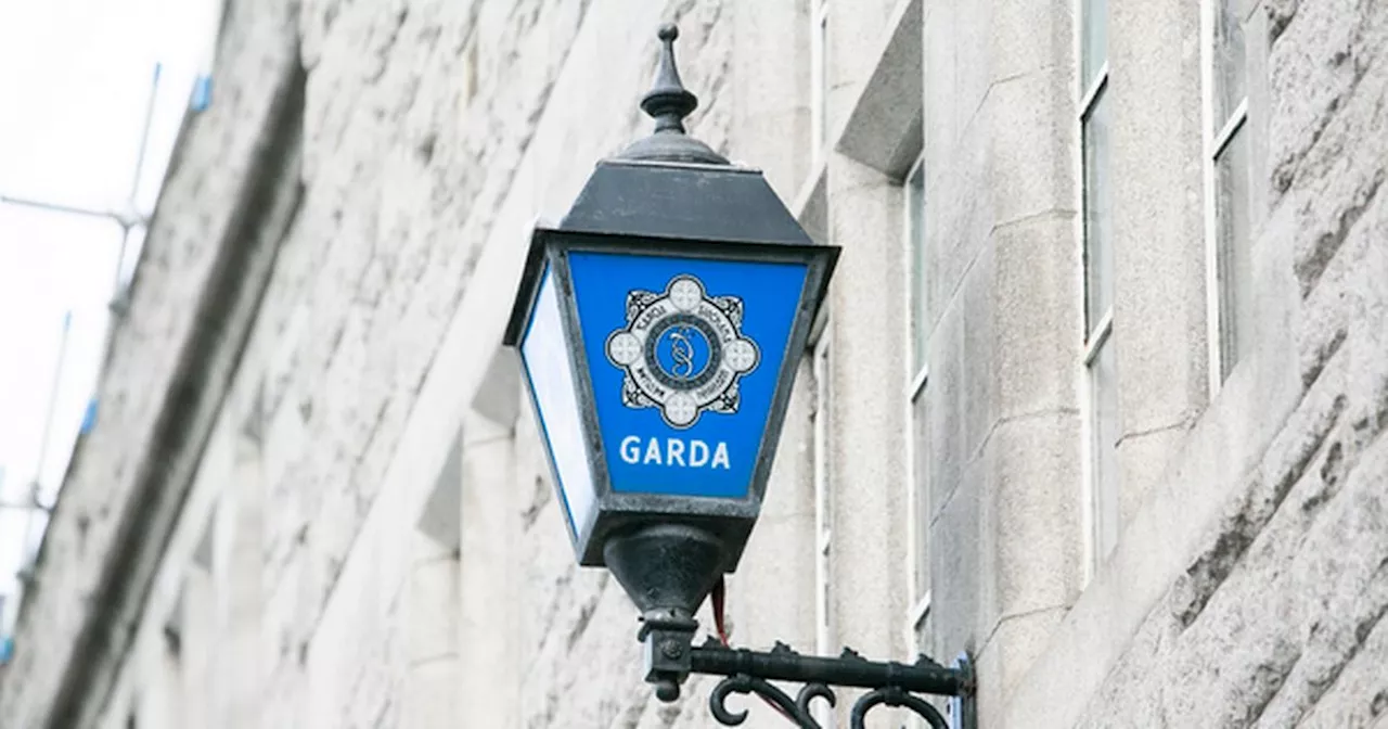 Gardaí arrest two men after search operation targeting organised crime group