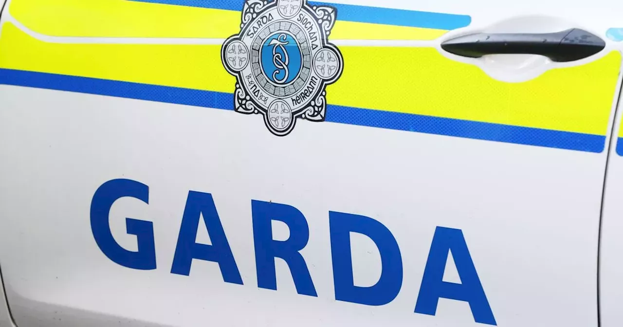 Gardai seize 20 pipe bombs in major blow to crime gang involved in bloody feud