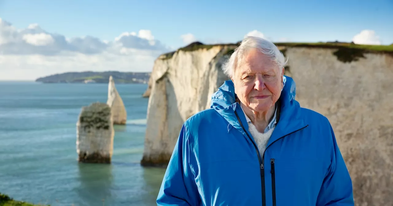 Ocean with David Attenborough review: Age has done little to quell the naturalist’s intellectual curiosity and childlike wonder