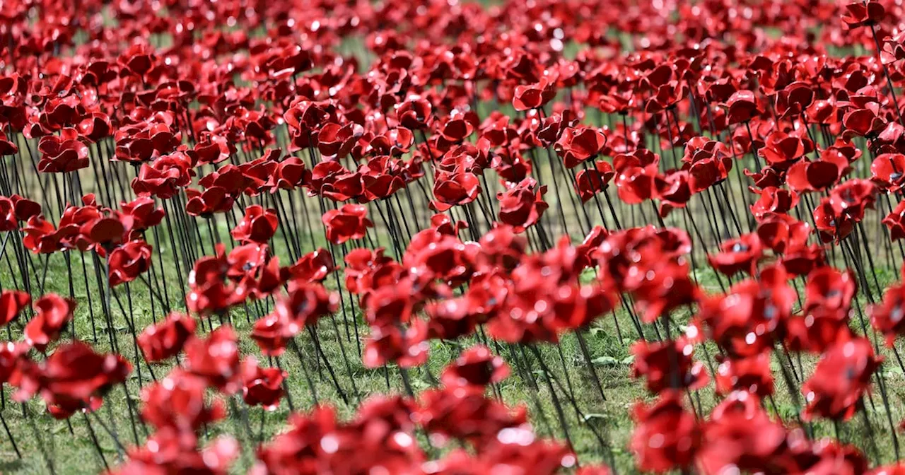 The Irish Times view on VE Day: building peace from the rubble