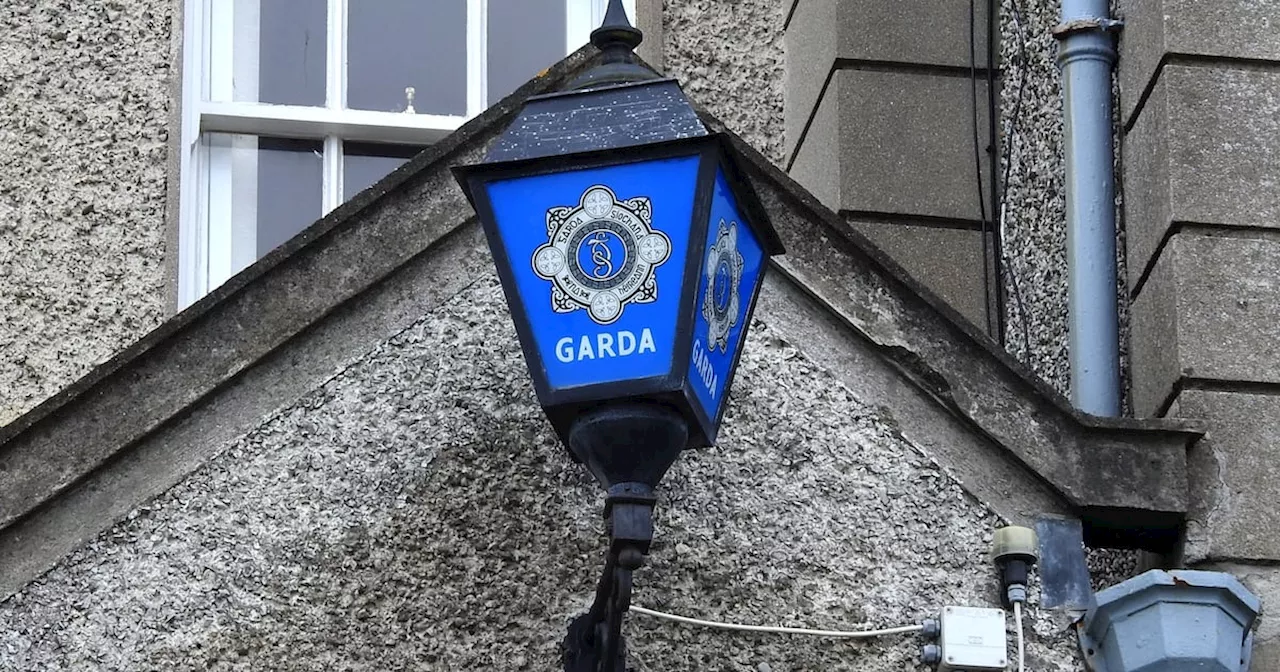 Twenty pipe bombs seized by gardaí in Co Louth