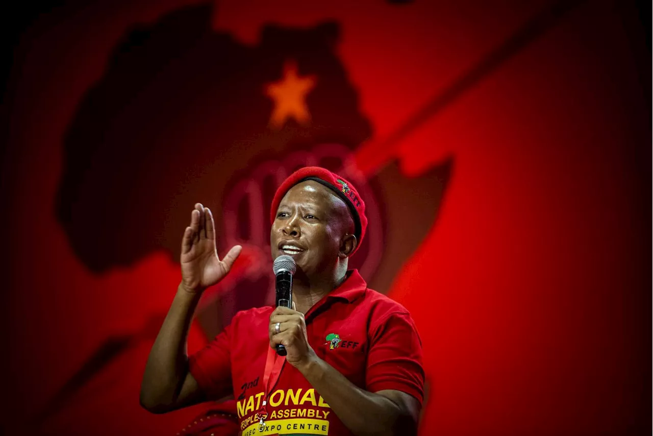 EFF accuses UK of ‘orchestrated’ visa delay to block Malema’s visit