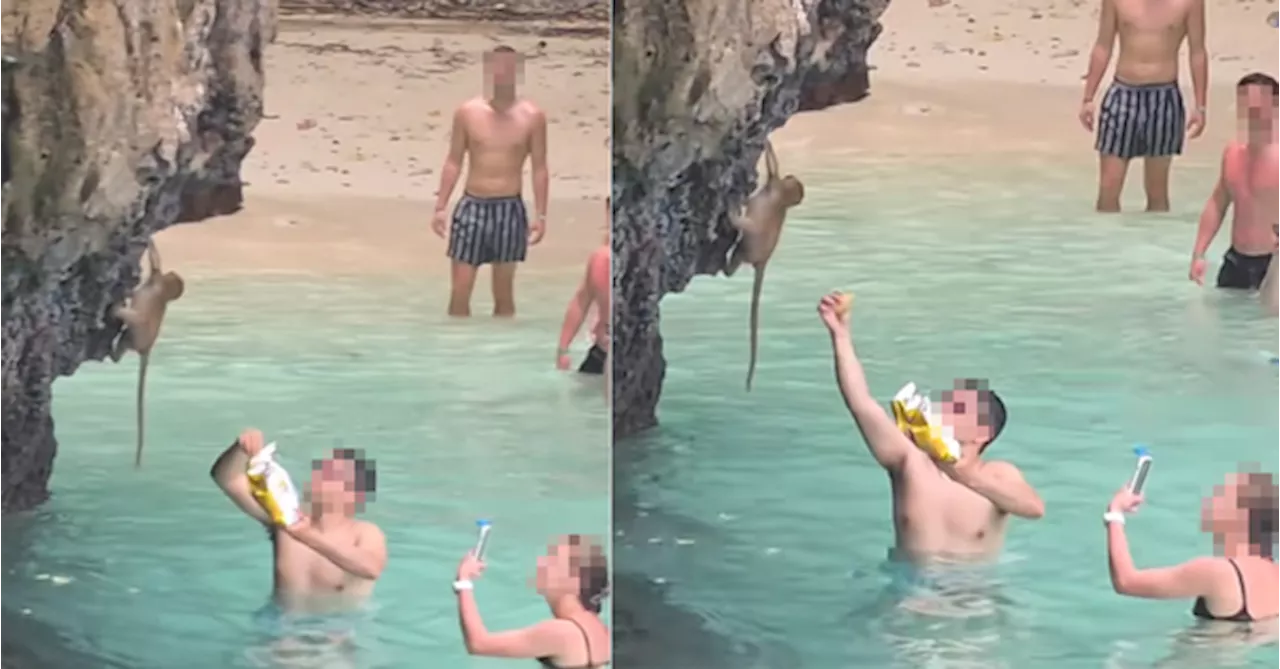 Tourist Feeds Monkeys In Thailand & Ignores Local Desperately Begging Him To Stop