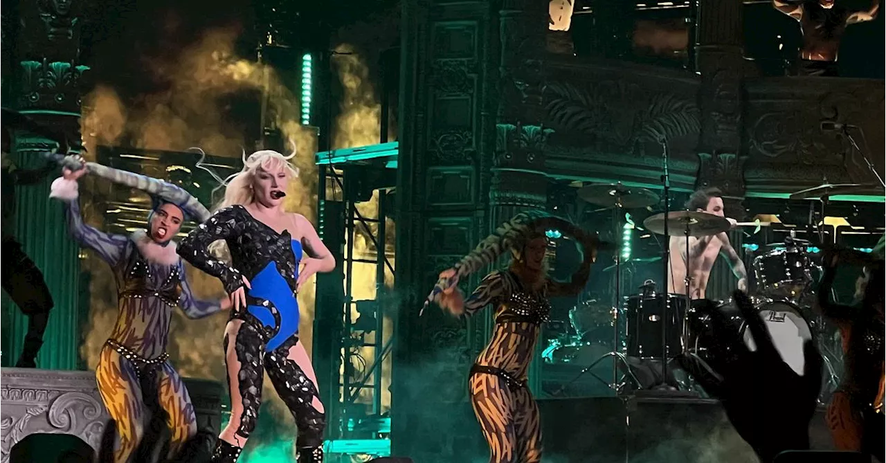 Avvärjt bombdåd mot Lady Gaga-konsert i Rio – 764-nätverket pekas ut