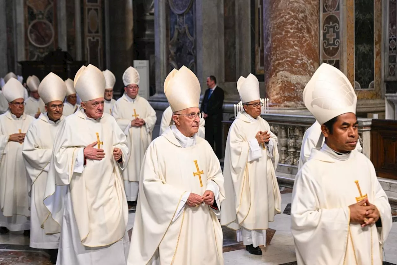 Potential successors to Pope Francis