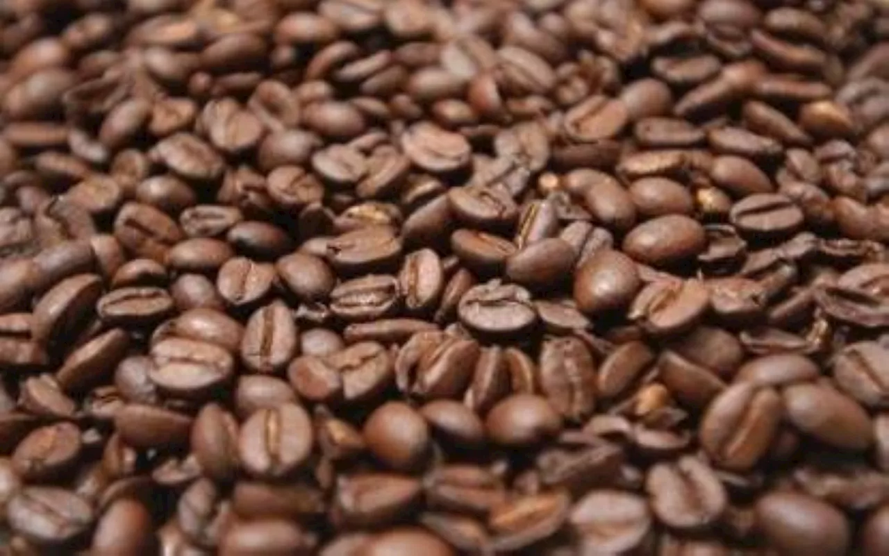 Tech boosts Vizcaya coffee industry