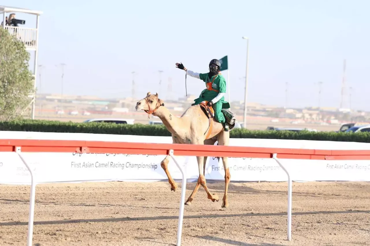 الهجانة السعودية خلود الشمري تحصد الذهبية الآسيوية