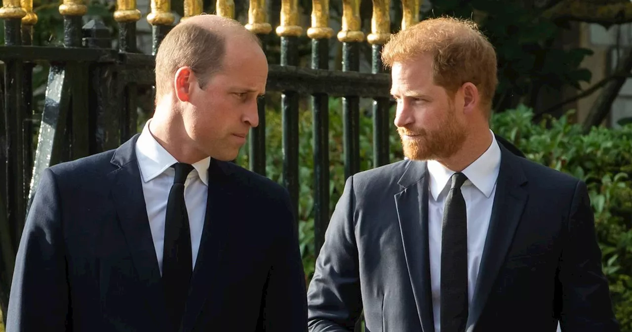 Prince William's friend gives savage two word response to Prince Harry after BBC interview