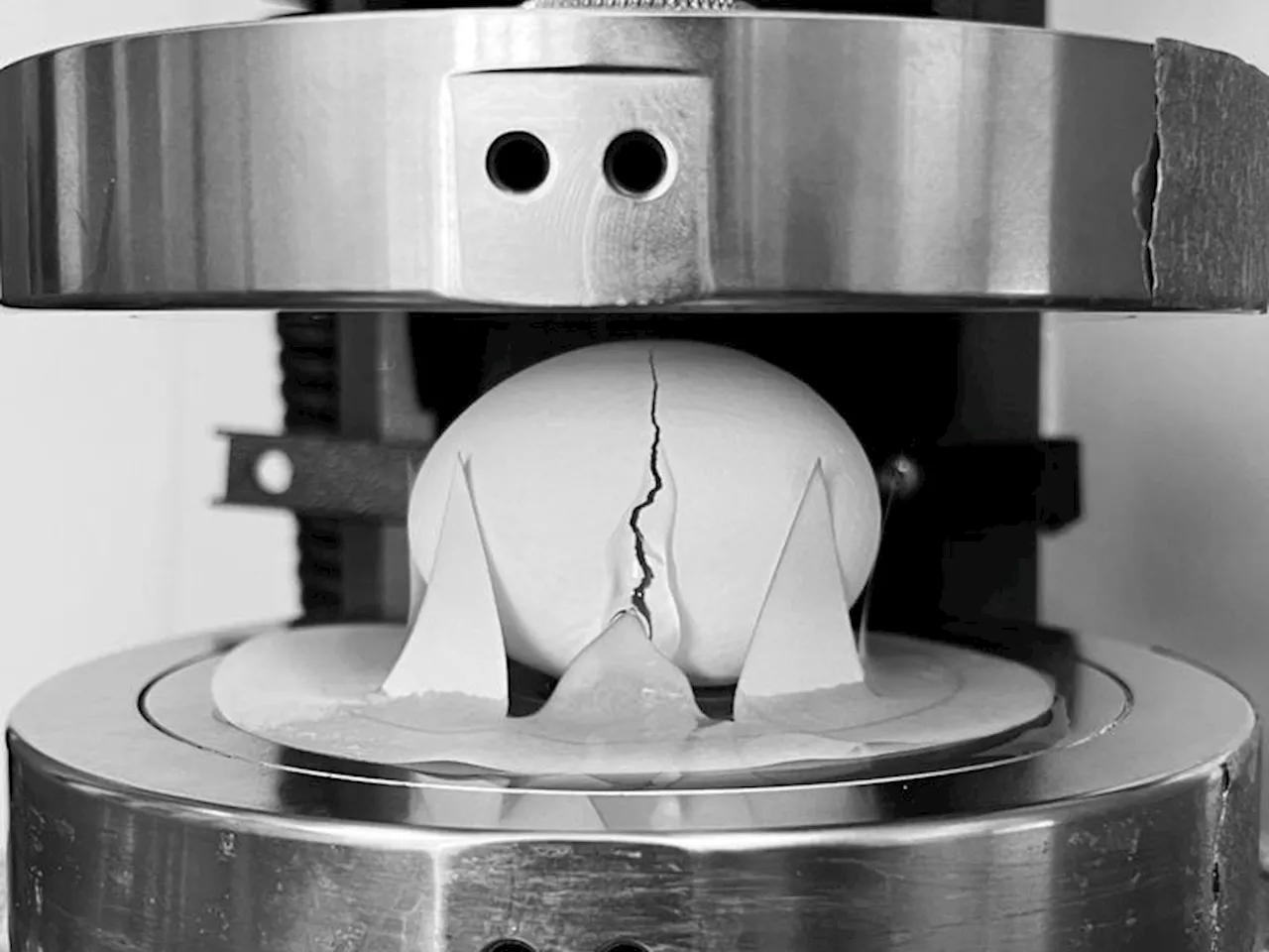 The Best Way To Drop An Egg So It Won’t Crack, According To Engineers