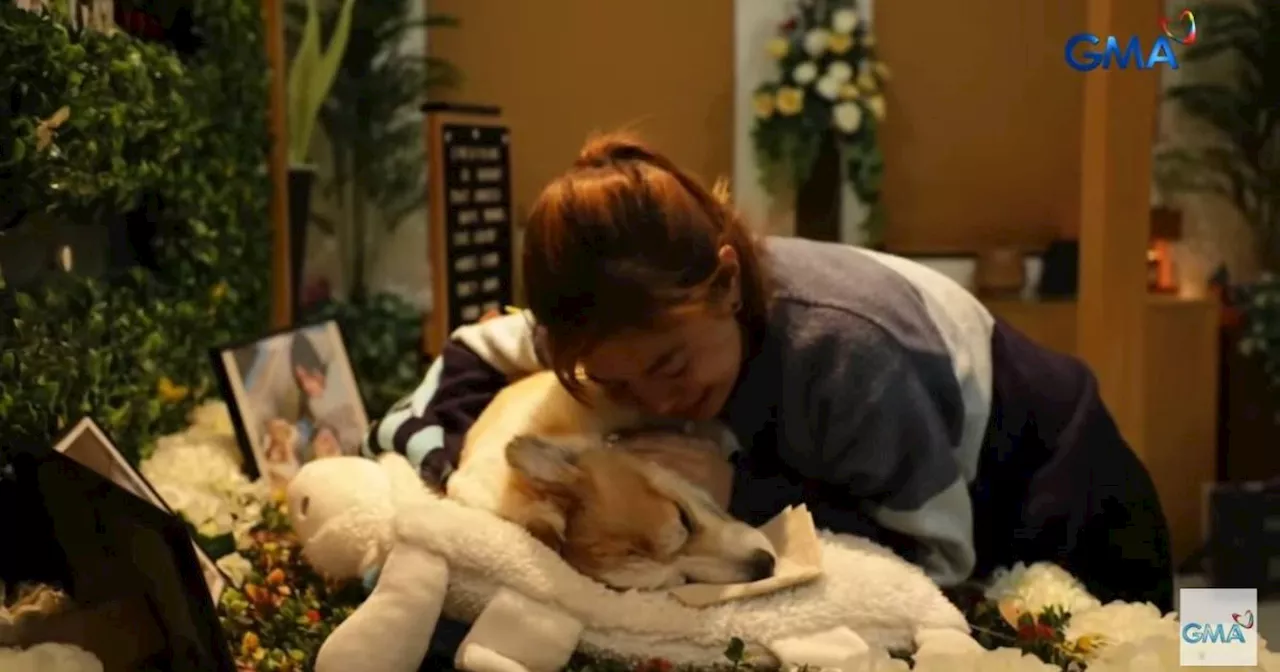 Bianca De Vera temporarily exits PBB house to say goodbye to her dog Peach