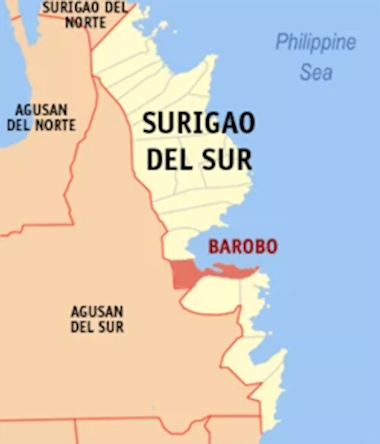 Suspect in murder of service crew in QC surrenders in Surigao del Sur