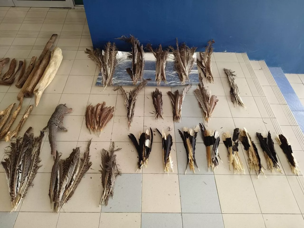 International smuggling syndicate dismantled in Limbang