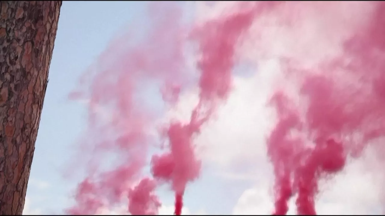 Pink smoke signals in Rome call for women priests
