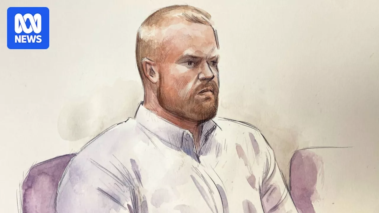 Court hears Constable Anthony Woods alleged killer may have 'unconsciously' pressed accelerator before being tasered