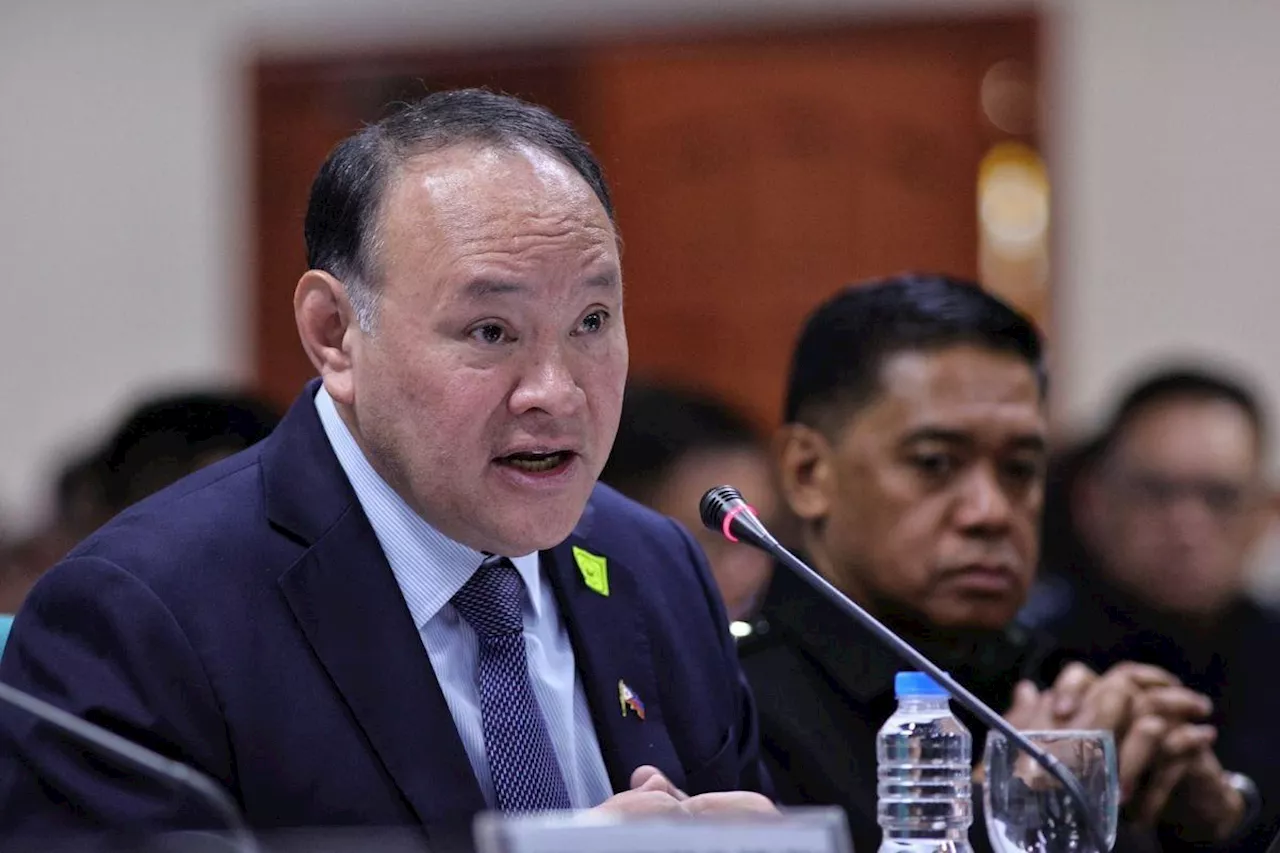 Gibo Teodoro says China has interest to meddle in elections