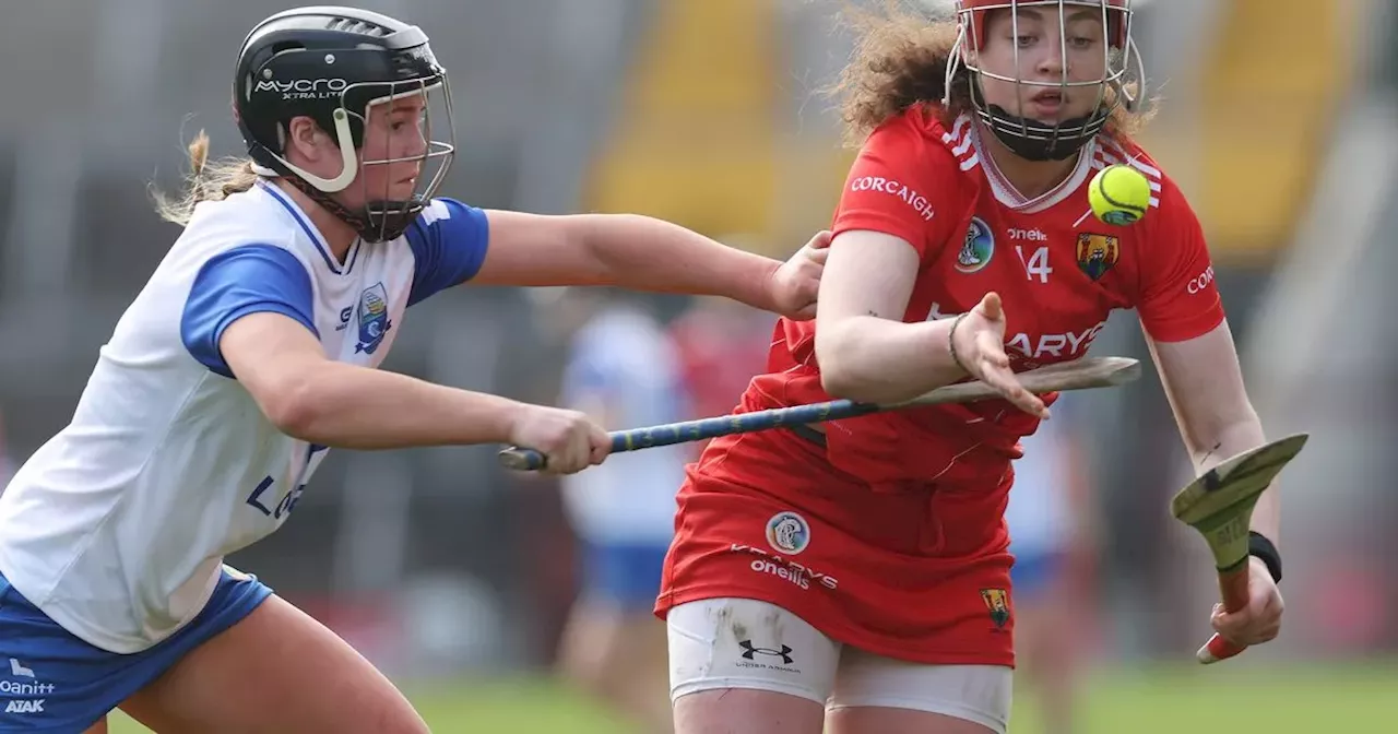 Patrick O'Donovan calls for calm but won't intervene in camogie skort row