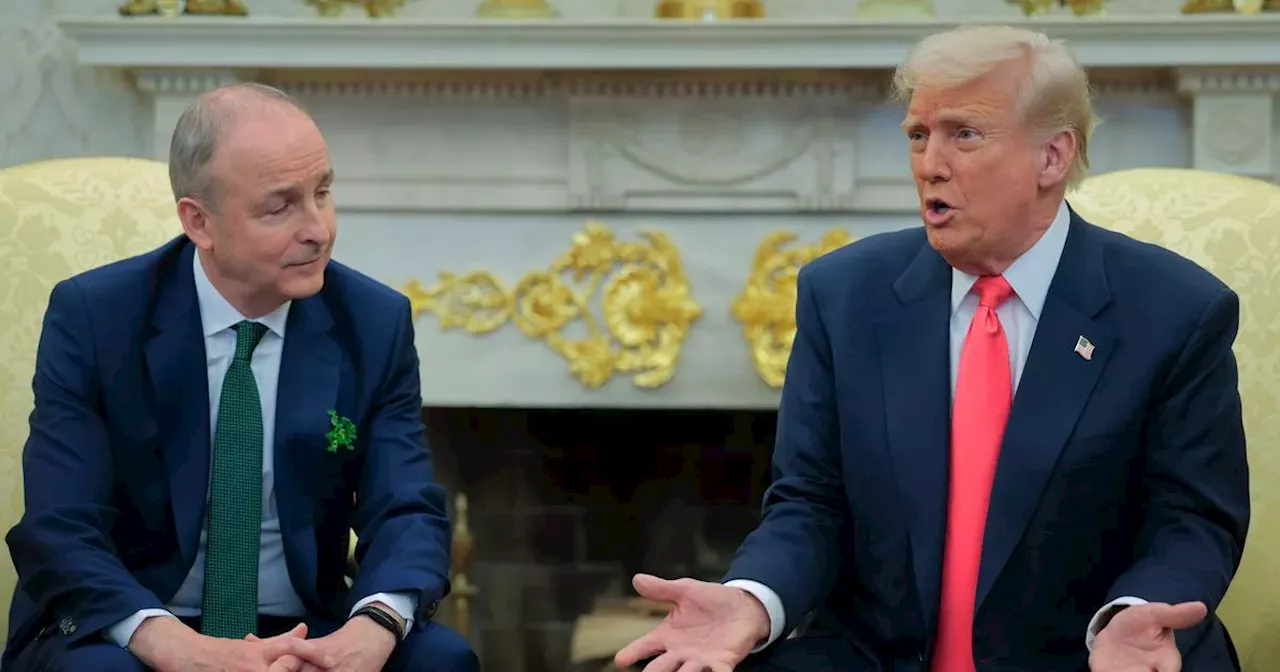 Taoiseach urges negotiation with US as there can be 'no pain-free tariff war'