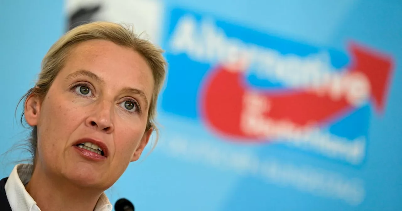 German intelligence service report on AfD faces claims of political interference