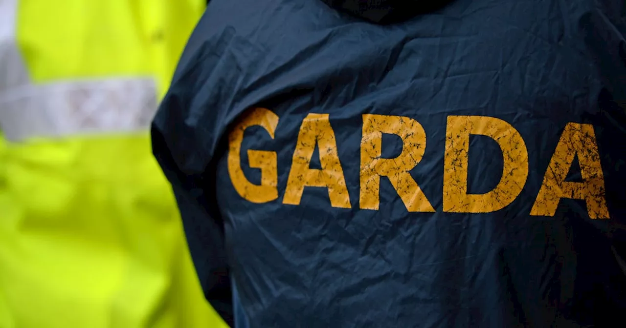 Man loses three fingers following machete attack in Dublin