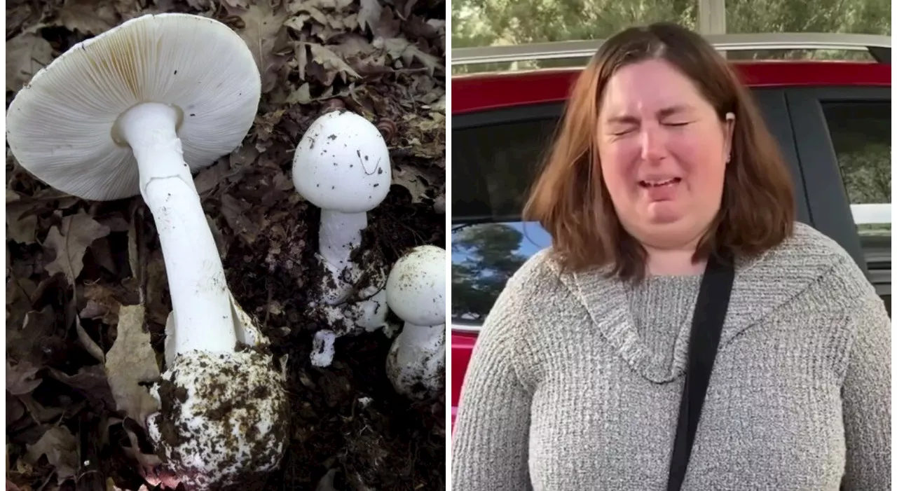 Serve funghi velenosi (nel filetto alla Wellington) ai parenti: donna accusata di triplice omicidio. La bugia
