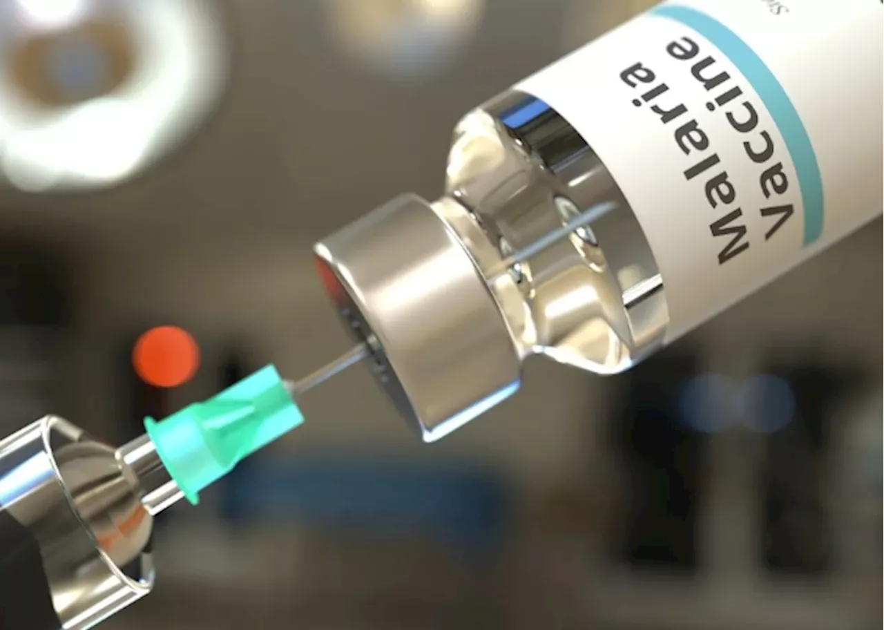 ‘Africa malaria vaccine rollout delays must be addressed’