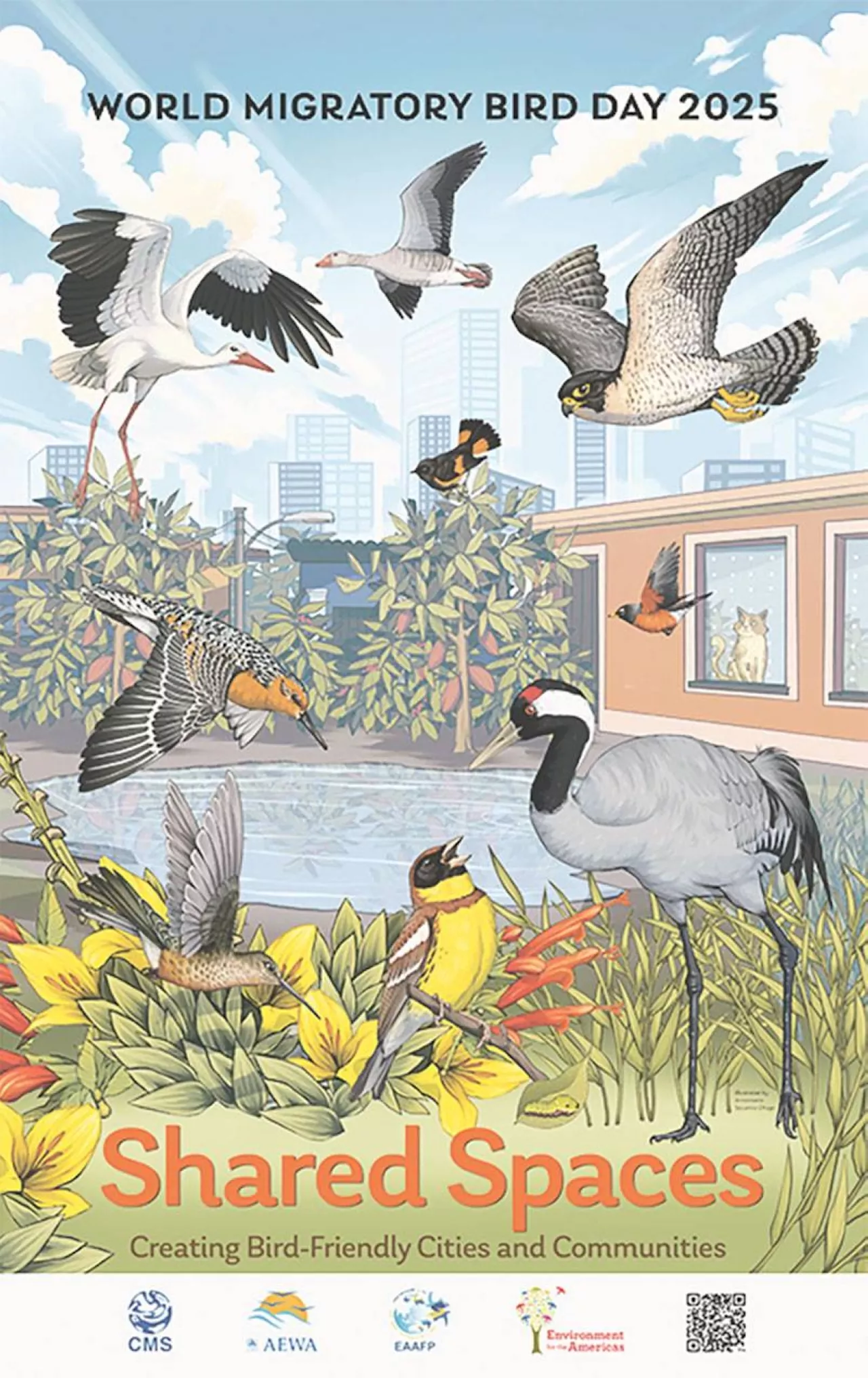 WMBD calls for creation of bird-friendly cities