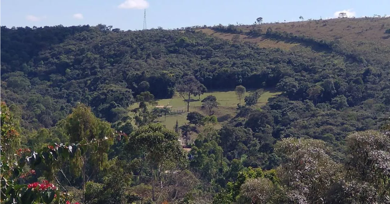 Ferramenta identifica áreas ecologicamente equivalentes para orientar restauração
