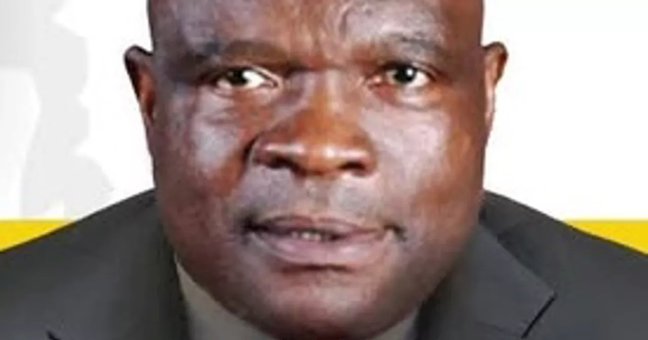 IFP MP shot dead in Gauteng, party calls it an assassination