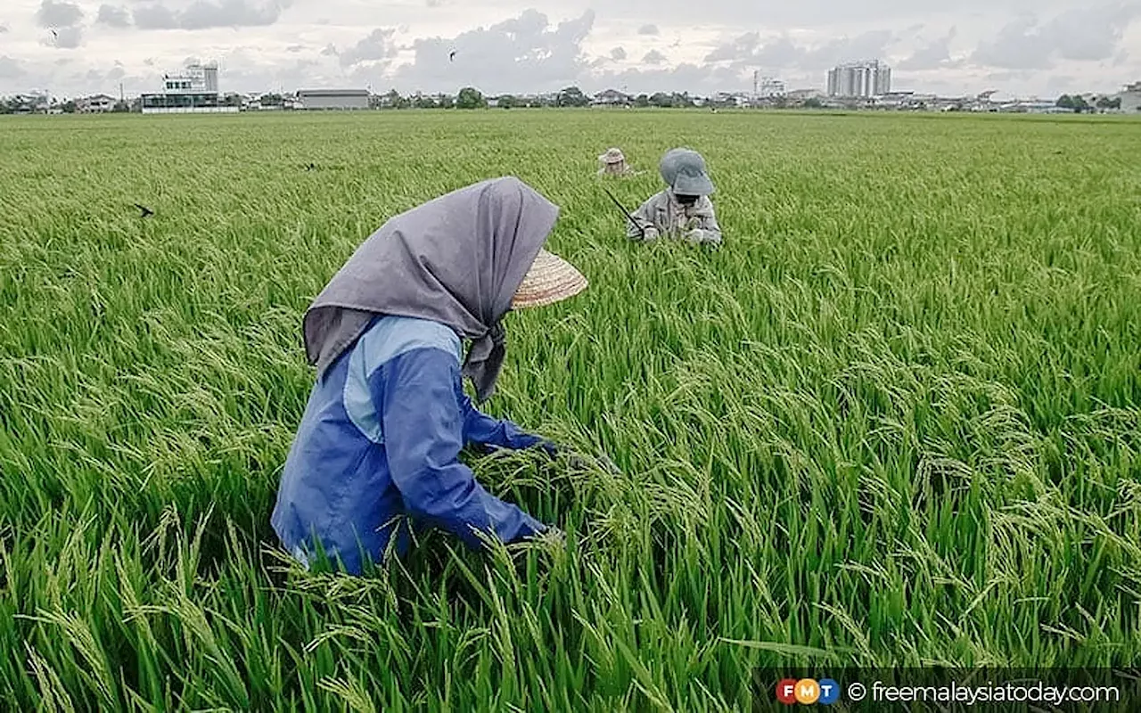 ‘Low status’ of farming puts off the young, says don