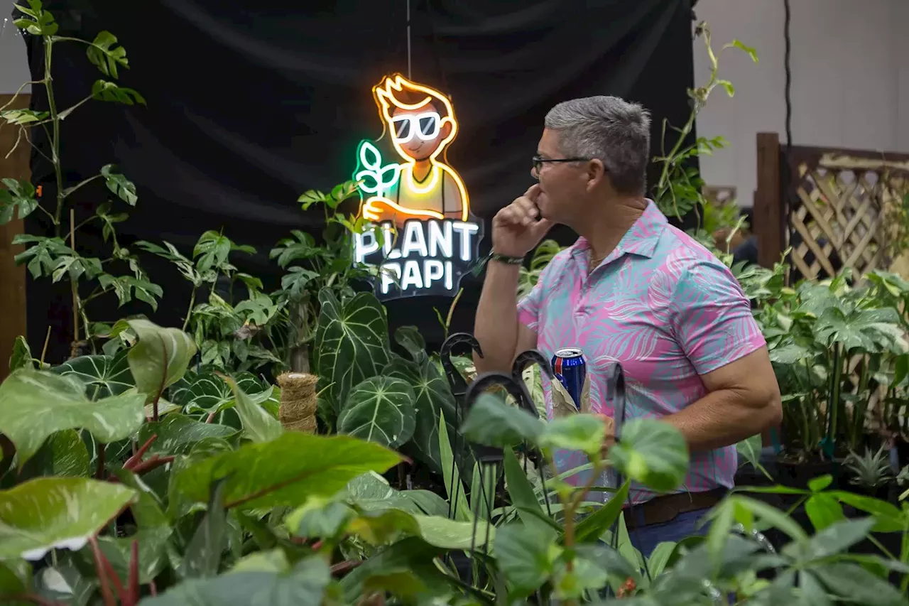 Rooted In Goodness: Plantcon 2025 At NRG Hall