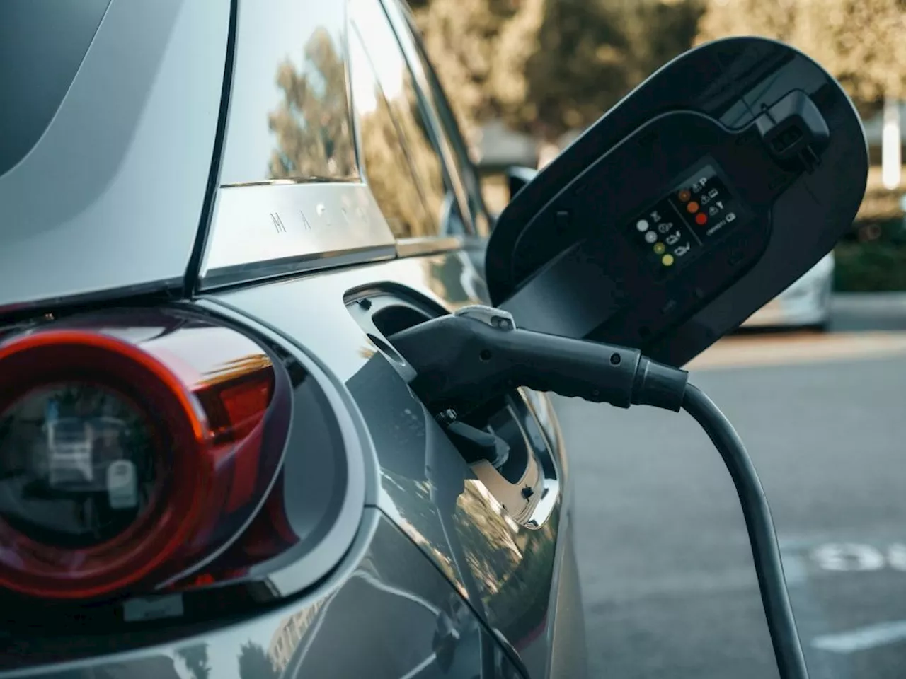 ‘EV ecosystem urgently needed’