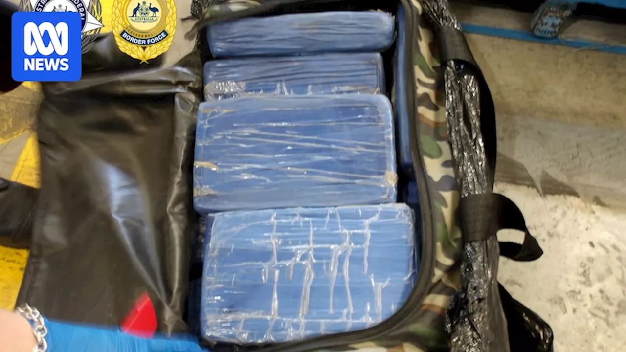 More than 250kg of cocaine found in Brisbane shipping container as police foil $82 million drug plot