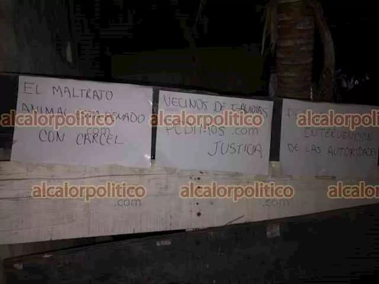 En Coatzacoalcos, casi linchan a su vecino por maltratar a sus perros
