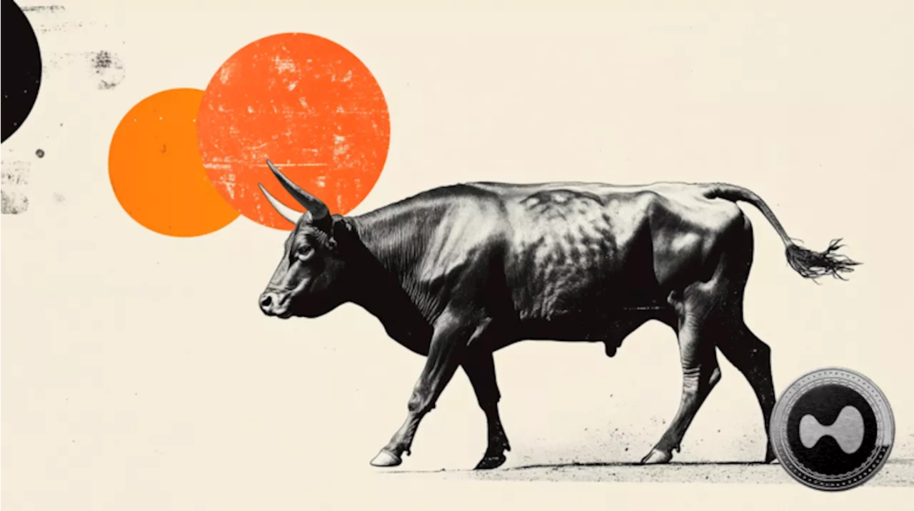 Here is why HYPE could hit a new all-time high soon