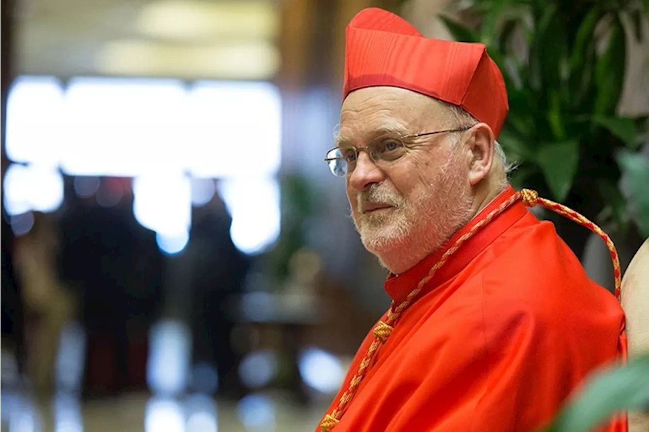 Swedish cardinal reflects on conclave, says he’s ‘grateful’ for Pope Leo XIV