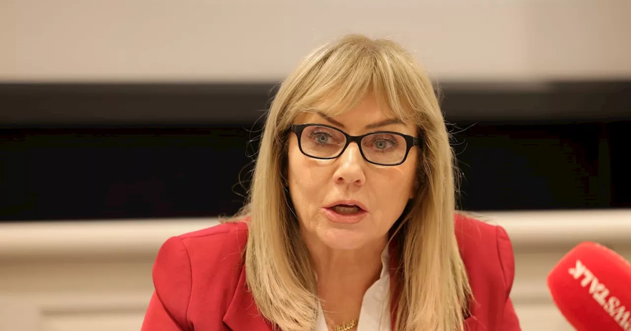 ‘Groundbreaking’ case over Airbnb lettings in West Bank will set precedent for Irish companies, says Senator