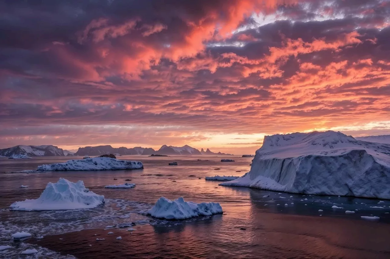 Emperor penguins show dramatic decline in one region of Antarctica, satellite photos show