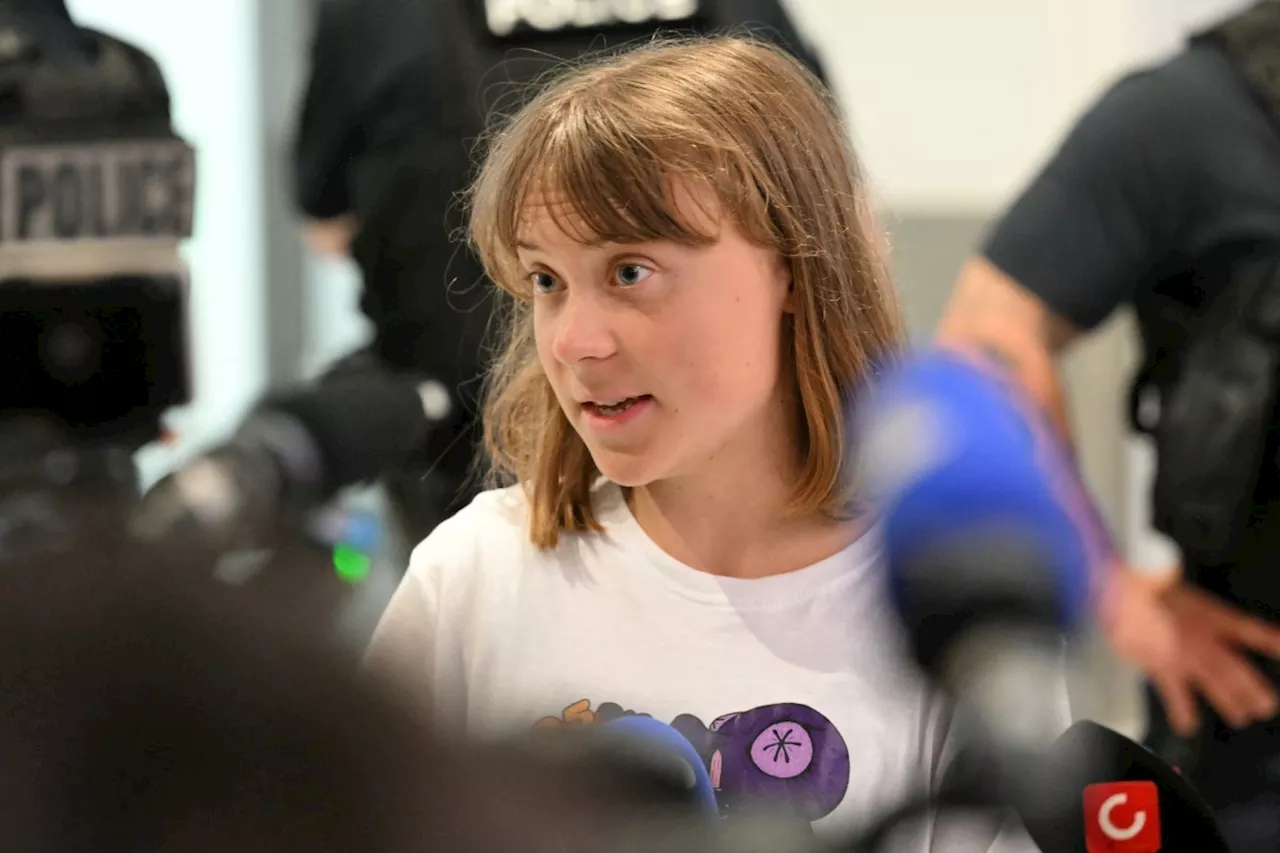 Greta Thunberg back in Sweden after deportation from Israel