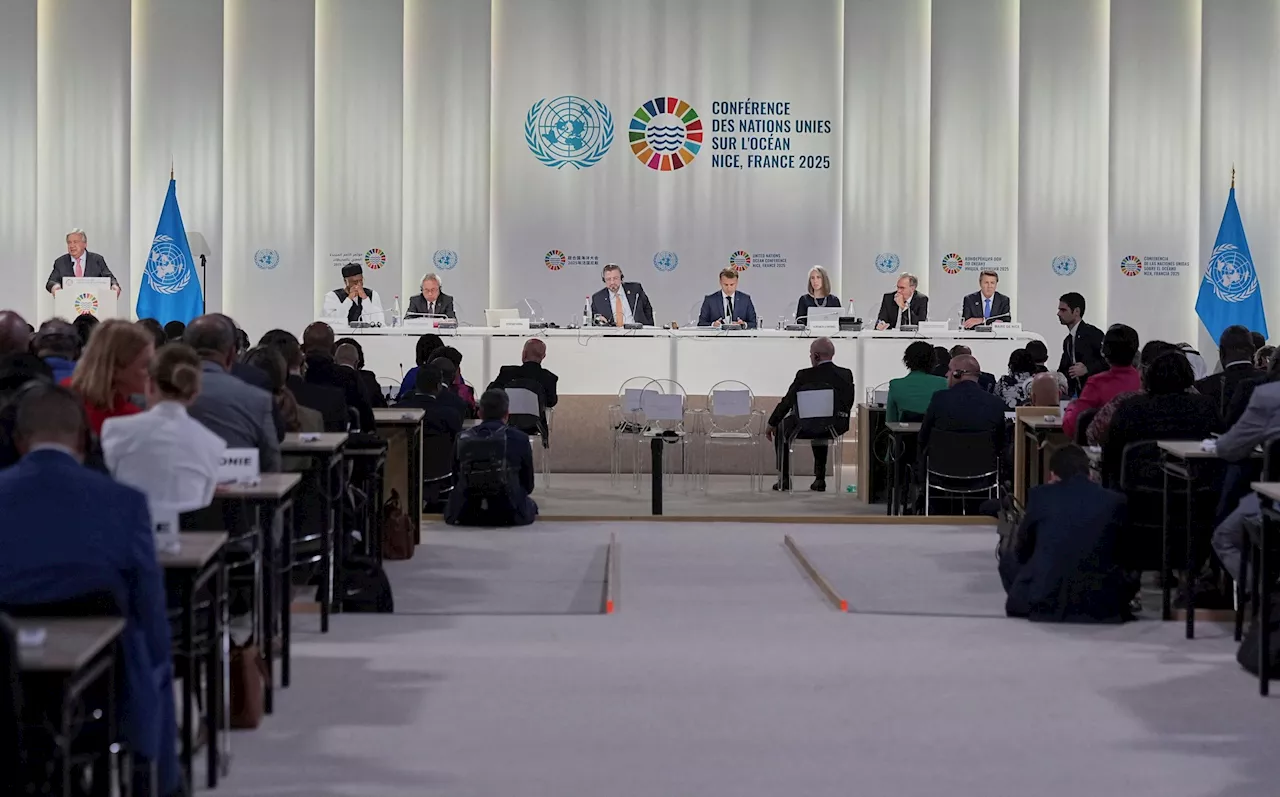 What is the High Seas Treaty to protect world oceans?