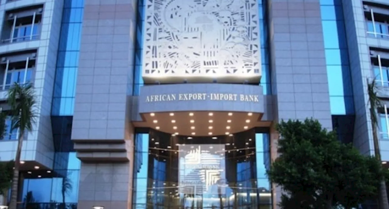 'Erroneous view' -- Afreximbank reacts to Fitch's negative outlook