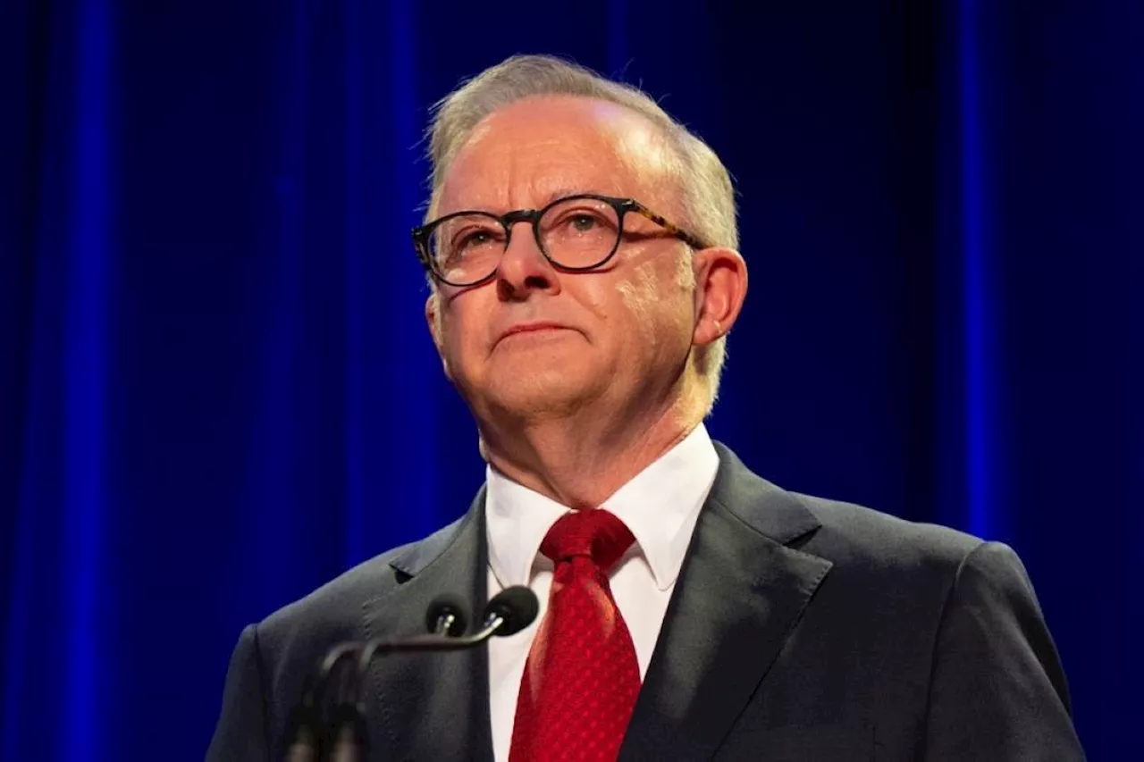 Albanese slams hit on journalist in LA unrest