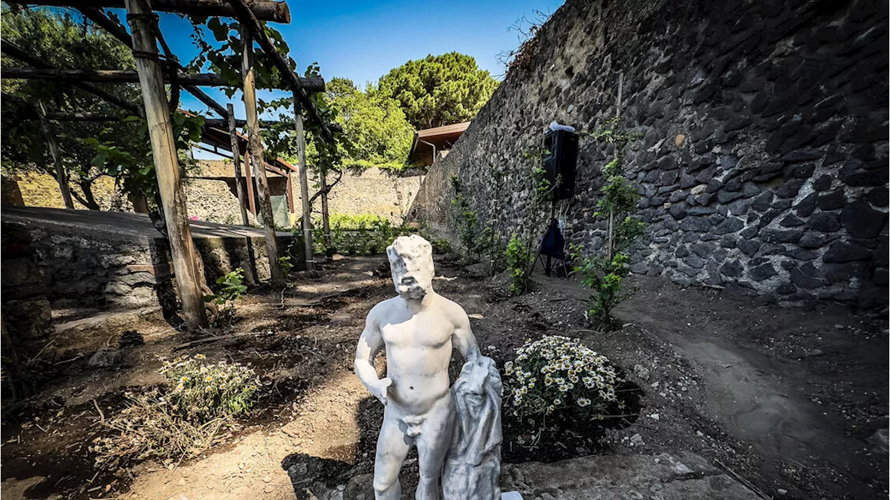 A Pompei rivivono le essenze della 'Casa del profumiere'