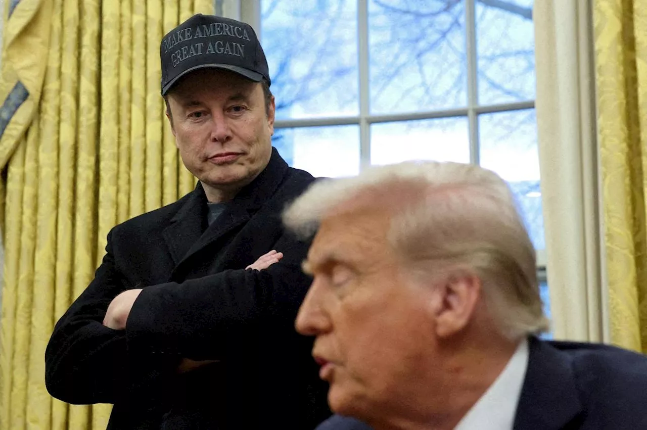 Musk says some of his posts about Trump 'went too far'