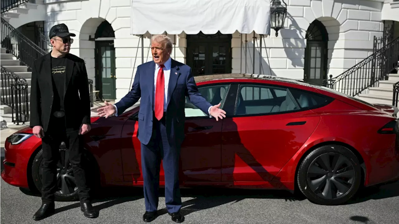 Tesla : des clients français assignent la marque en justice en raison du comportement d'Elon Musk